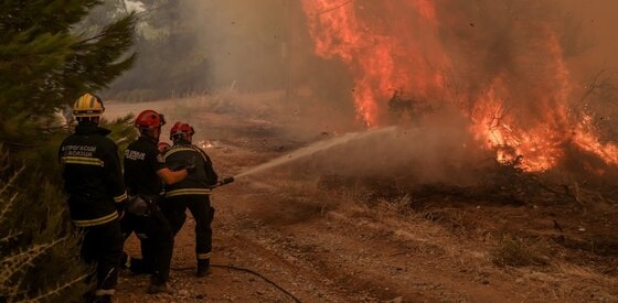 Το Τμήμα Δασολογίας του ΔΠΘ αναφέρεται στις πυρκαγιές που σημειώθηκαν στην Βόρεια Εύβοια.