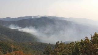 Συνεχίζεται η μάχη με τις αναζωπυρώσεις για όγδοη ημέρα - Στην Δαδιά το κύριο μέτωπο (φωτο)