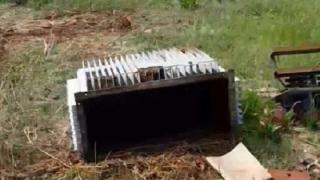 Ανήλικος έκλεβε μετασχηματιστή της ΔΕΗ και χτυπήθηκε από το ρεύμα