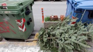 Ανακύκλωση χριστουγεννιάτικων δένδρων στην Αλεξανδρούπολη