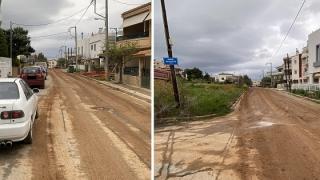 Σε "κατσικόδρομο" έχει μετατραπεί τμήμα οδού στην Αλεξανδρούπολη