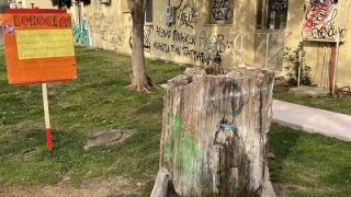Διαμαρτυρία μαθητών για τον απολιθωμένο κορμό στο κέντρο της Αλεξανδρούπολης