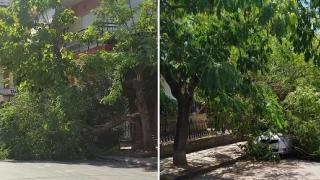 Σταμάτησαν οι ισχυροί άνεμοι στη Θράκη, αλλά οι ζημιές έγιναν