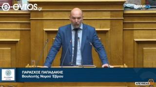 Ο Υφυπουργός "έπαιζε tetris", όταν ο βουλευτής Παπαδάκης μιλούσε για τη Νέα Βύσσα; (video)