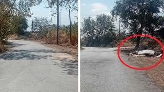 Τα μπάζα ...επανεμφανίζονται αμέσως στην Αλεξανδρούπολη