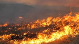 Ανακοίνωση της Πυροσβεστικής για τις πυρκαγιές στον κάμπο της Ορεστιάδας