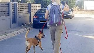 Δηλητηριασμένα δολώματα βρέθηκαν στον Απαλό Αλεξανδρούπολης