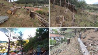 Αντιπυρικές ζώνες δημιουργήθηκαν στη Σαμοθράκη