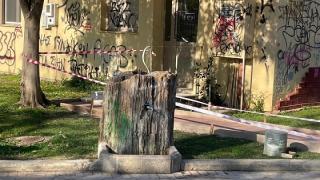 Απολιθωμένος κορμός στο έλεος βανδάλων στην Αλεξανδρούπολη (photos)