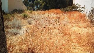 Μέχρι 30 Απριλίου η προθεσμία για καθαρισμούς οικοπέδων