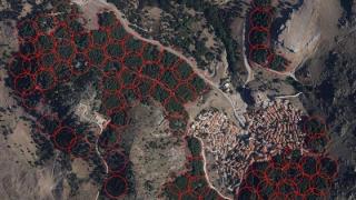 Καινοτόμες ενέργειες για να σωθεί το πευκοδάσος της Σαμοθράκης