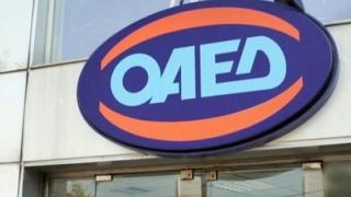Συνεχίζει να είναι τραγική η κατάσταση στον ΟΑΕΔ Αλεξανδρούπολης - Καταγγελία πολίτη για τις υπηρεσίες του