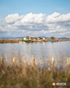 At Delta of Evros, close to the Turkish borders