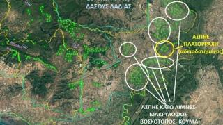 Αντιδράσεις για τις νέες ανεμογεννήτριες μεταξύ Δάσους Δαδιάς και Δέλτα Έβρου