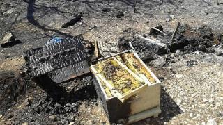 Μελισσοκόμος ο υπεύθυνος για την πυρκαγιά στην Κυριακή Σουφλίου - Πρόστιμο 5.500 ευρώ