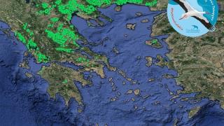 Ολοκληρώθηκε η Εθνική Απογραφή Λευκών Πελαργών - Ενθαρρυντικά τα πρώτα αποτελέσματα για την Ελλάδα
