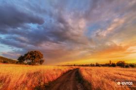 Autumn in Evros