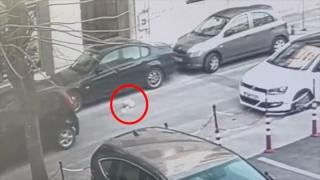 Ξεφτίλας οδηγός κυκλοφορεί ανάμεσά μας στην Αλεξανδρούπολη (video)