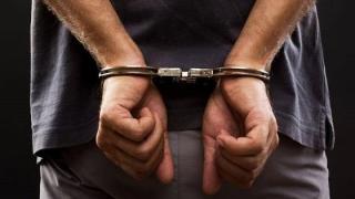 Τρεις συλλήψεις στην Αλεξανδρούπολη - Ο σκύλος Λάικα βρήκε κοκαΐνη και κάνναβη