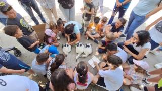Αναπαραγωγή και δακτυλίωση των πελαργών του Άβαντα (video)