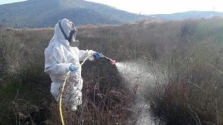 Ψεκασμοί για τα κουνούπια - Παρασκευή σε Τυχερό και Θυμαριά, Σάββατο στο Σουφλί