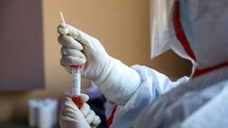 Ορεστιάδα: Αρνητικοί καθηγητής & φοιτητές του τμήματος Αγροτικής Ανάπτυξης