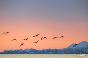 Autumn in the port of Alexandroupoli