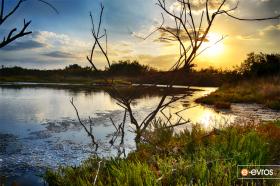 Delta of Evros: A natural treasure next to us!
