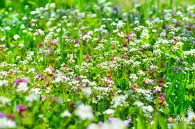 Spring is all over the place.