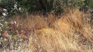 Στις 23/6 ξεκινούν οι έλεγχοι για τα ακαθάριστα οικόπεδα