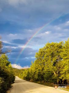 Somewhere under the rainbow!