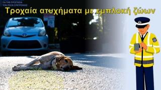 Η νομοθεσία για τροχαία ατυχήματα με εμπλοκή ζώων