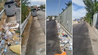 Ολοκληρώθηκε ο καθαρισμός στο Τελωνείο των Κήπων
