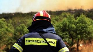 Έβρος: Σε λειτουργία το Ανακριτικό Κλιμάκιο Αντιμετώπισης Εγκλημάτων Εμπρησμού
