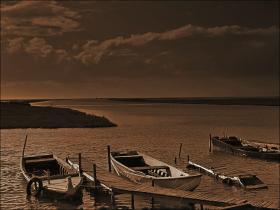 In the Delta of Evros.