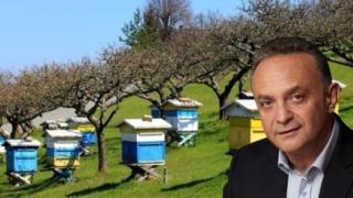 Με απόφαση Κελέτση προχωρά η ανασύσταση του Μελισσοκομικού Πάρκου Δαδιάς