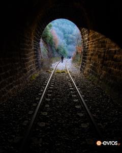 The darkness of the tunnel meets the light of nature