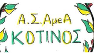 'Καλή αρχή' για το πινγκ πονγκ του Α.Σ. ΑμεΑ 'ΚΟΤΙΝΟΣ'.