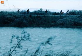 Biking in Delta of Evros.