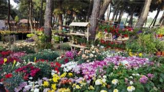 Έρχεται η 19η Ανθοκομική Έκθεση & Έκθεση Βιβλίου στην Ορεστιάδα