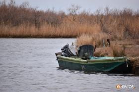 Boat in the Evros Delta