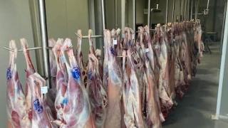 Επαναλειτουργεί το δημοτικό σφαγείο Σαμοθράκης