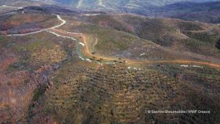 Σχέδια για 217 ανεμογεννήτριες στον Έβρο – Οι μισές σε καμένες εκτάσεις του 2023