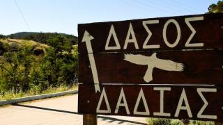 Μήνυμα Πρωθυπουργού: Έργα 86 εκατ. ευρώ για την αποκατάσταση και πρόληψη στη Δαδιά