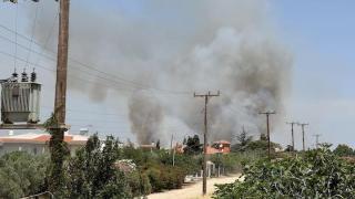Συνελήφθη ο υπεύθυνος για τη φωτιά πάνω από τη Χηλή