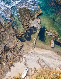 The raw beauty of Dikella