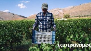 Στην Αλεξανδρούπολη η απονομή των 16ων Βραβείων Ποιότητας του Γαστρονόμου! 