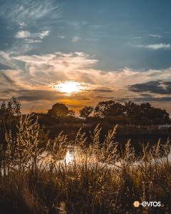 Sunset in the Evros Delta National Park 