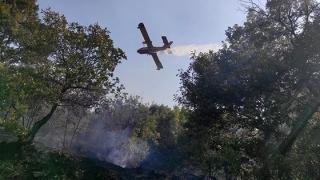 Πολύ υψηλός κίνδυνος πυρκαγιάς για σήμερα Κυριακή στον Έβρο