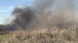 Φωτιά ξέσπασε στην περιοχή Σωτήρος κάτω από την Άνθεια 